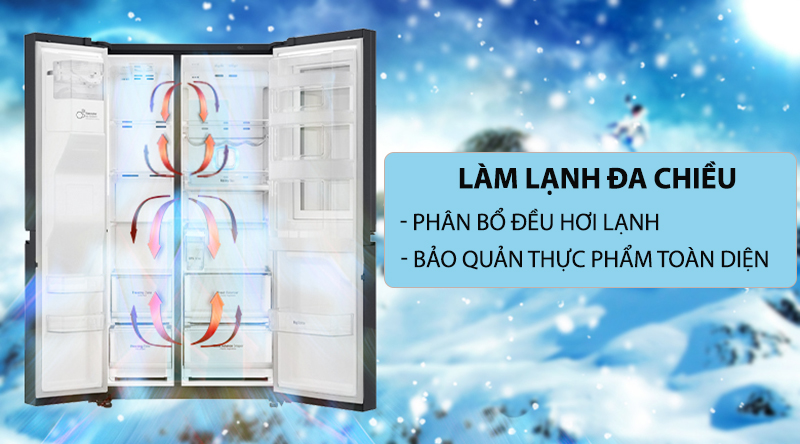 Tủ lạnh LG 613 Lít Side By Side Inverter GR-B247WB 