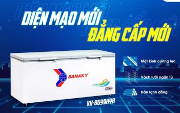 Tủ đông Sanaky VH-8699HYK 860 lít