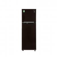 Tủ lạnh Samsung 236 lít Inverter RT22M4032BY/SV
