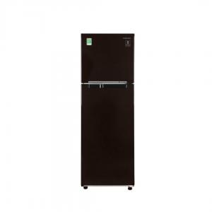 Tủ lạnh Samsung 256 lít 2 cửa Inverter RT25M4032BU/SV