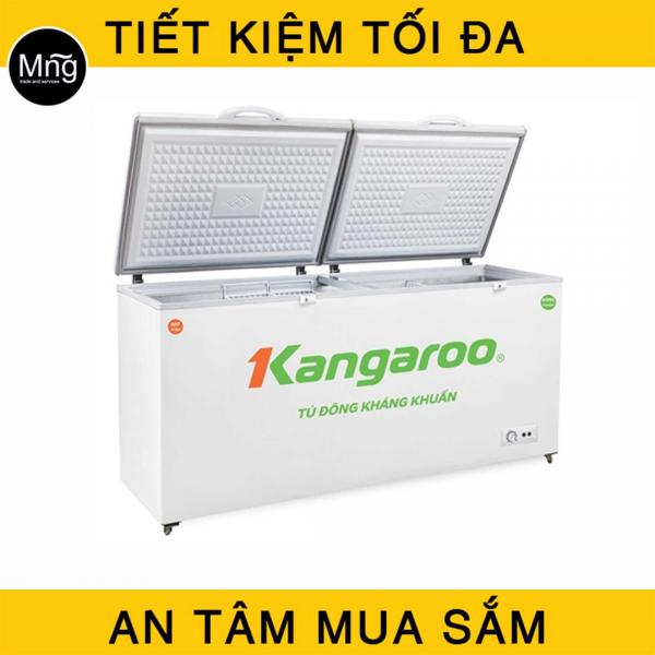 Tủ đông Kangaroo 688 lít KG688C2 (2 ngăn đông và mát)