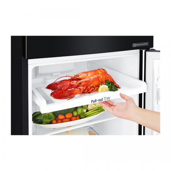 Tủ lạnh LG Inverter 209 lít GN-B222WB