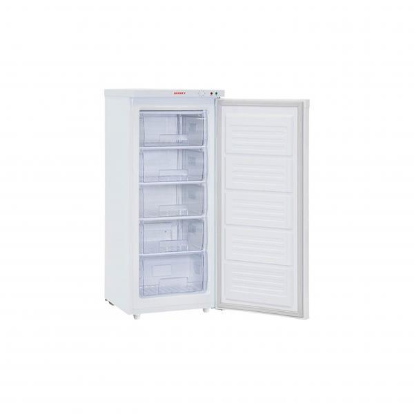 Tủ đông Sanaky 150 lít VH-180VD