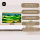Tivi LG 50QNED80SQA 4K 50 inch