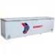 Tủ đông Sanaky VH-1368HY