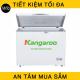 Tủ đông Kangaroo kháng khuẩn 290 lít KG292C1