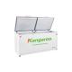 Tủ đông Kangaroo kháng khuẩn KG388A1