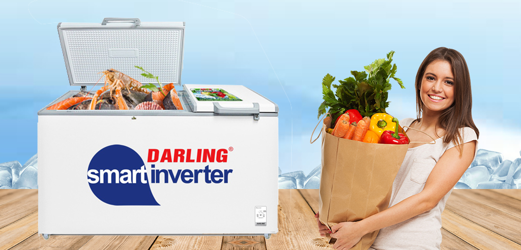 Tủ đông Darling 2 ngăn Inverter 800 lít DMF-7699 WSI