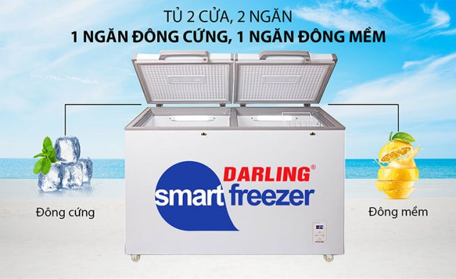 Tủ đông Darling 2 ngăn 230 lít DMF-2699 WS