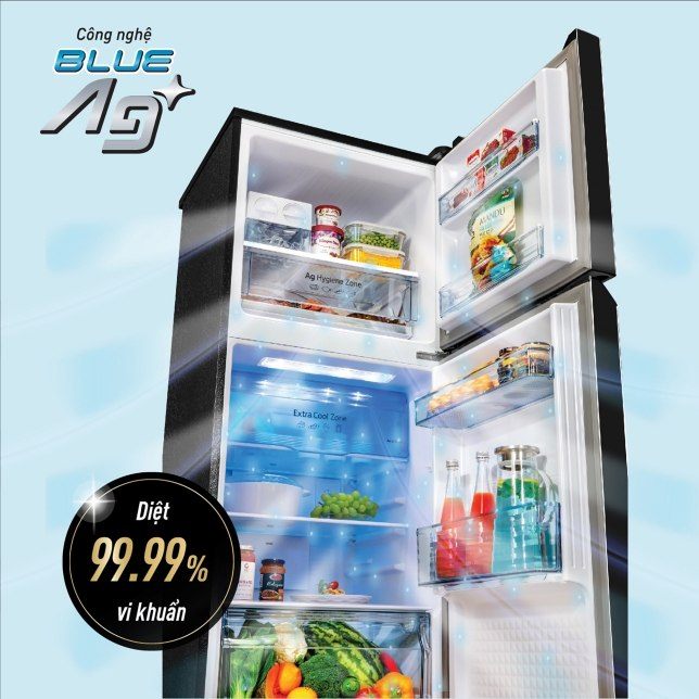 Tủ lạnh Panasonic Inverter 366 Lít NR-TL381GPKV