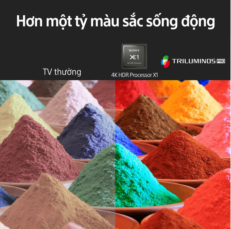 Gam màu rộng và thuật toán TRILUMINOS PRO™ độc đáo của Tivi Sony KD-65X81DK có thể phát hiện màu từ độ bão hòa, màu sắc và độ sáng đến từng chi tiết
