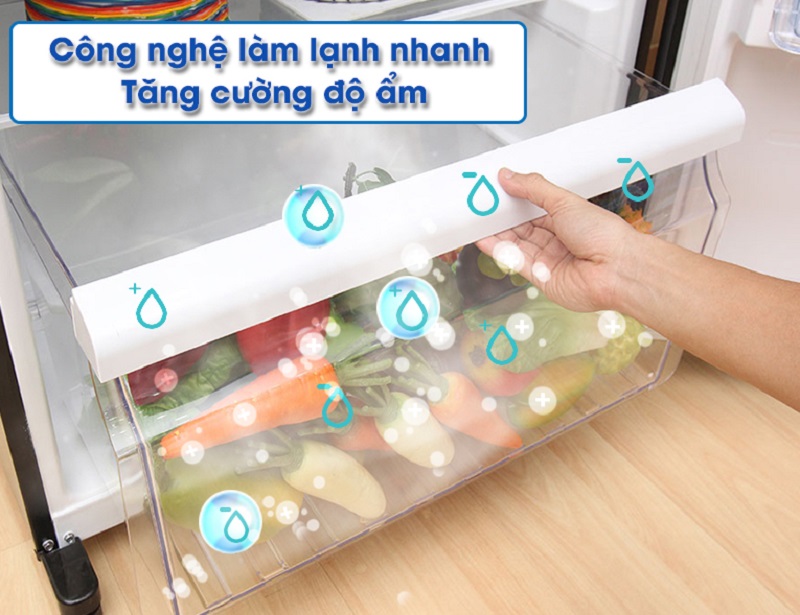 Tủ lạnh giá rẻ Toshiba 505 lít GR-HG55VDZ XK
