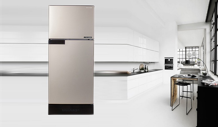 Tủ lạnh Sharp 165 lít inverter SJ-X176E-CS