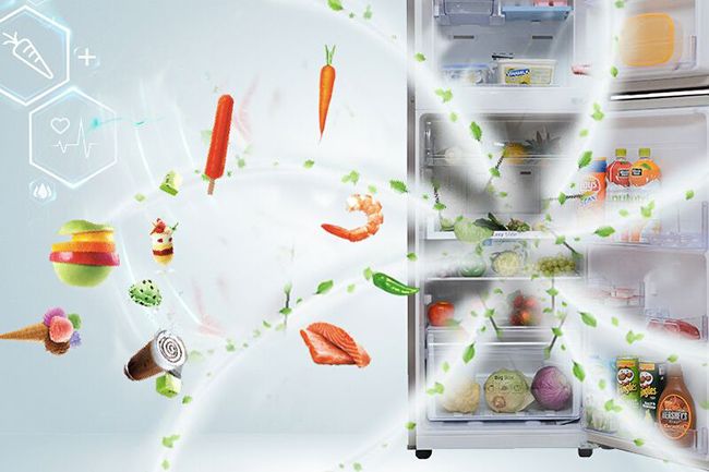 Tủ lạnh Inverter Samsung RT22FARBDSA 234 lít - bộ lọc kháng khuân than hoạt tính