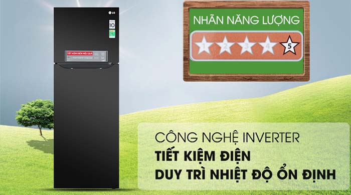 Tủ lạnh LG 315 lít inverter GN-M315BL tiết kiệm điện