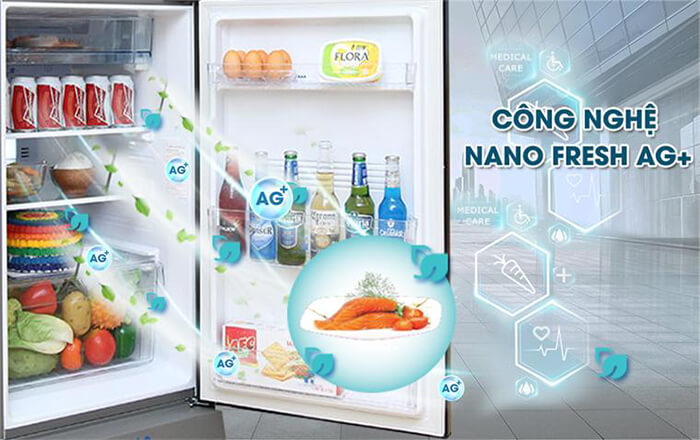 Tủ lạnh Aqua 225 lít inverter AQR- I226BN(DC) nano