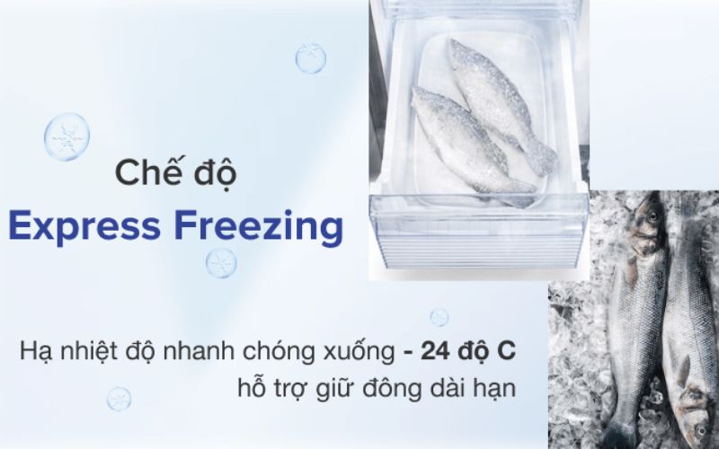  Công nghệ Express Freeze giúp tủ lạnh đạt nhiệt độ cực thấp chỉ trong 30 phút